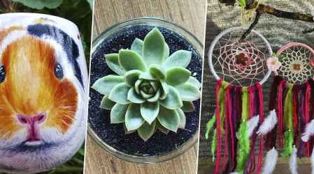 Especial decoración: Revisa los negocios locales destacados en una nueva emisión de Emprendedores Mega