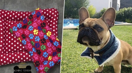 Emprendedores Mega: Revisa nuestro Especial Mascotas con interesantes datos