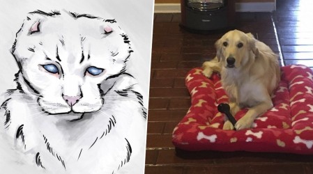 Especial Mascotas: Destacamos camas para animales a ilustraciones personalizadas en Emprendedores Mega