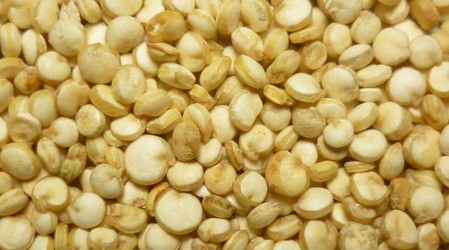 En repostería o como ensalada: Cata "la nutri" comenta los múltiples usos en la cocina de la Quínoa
