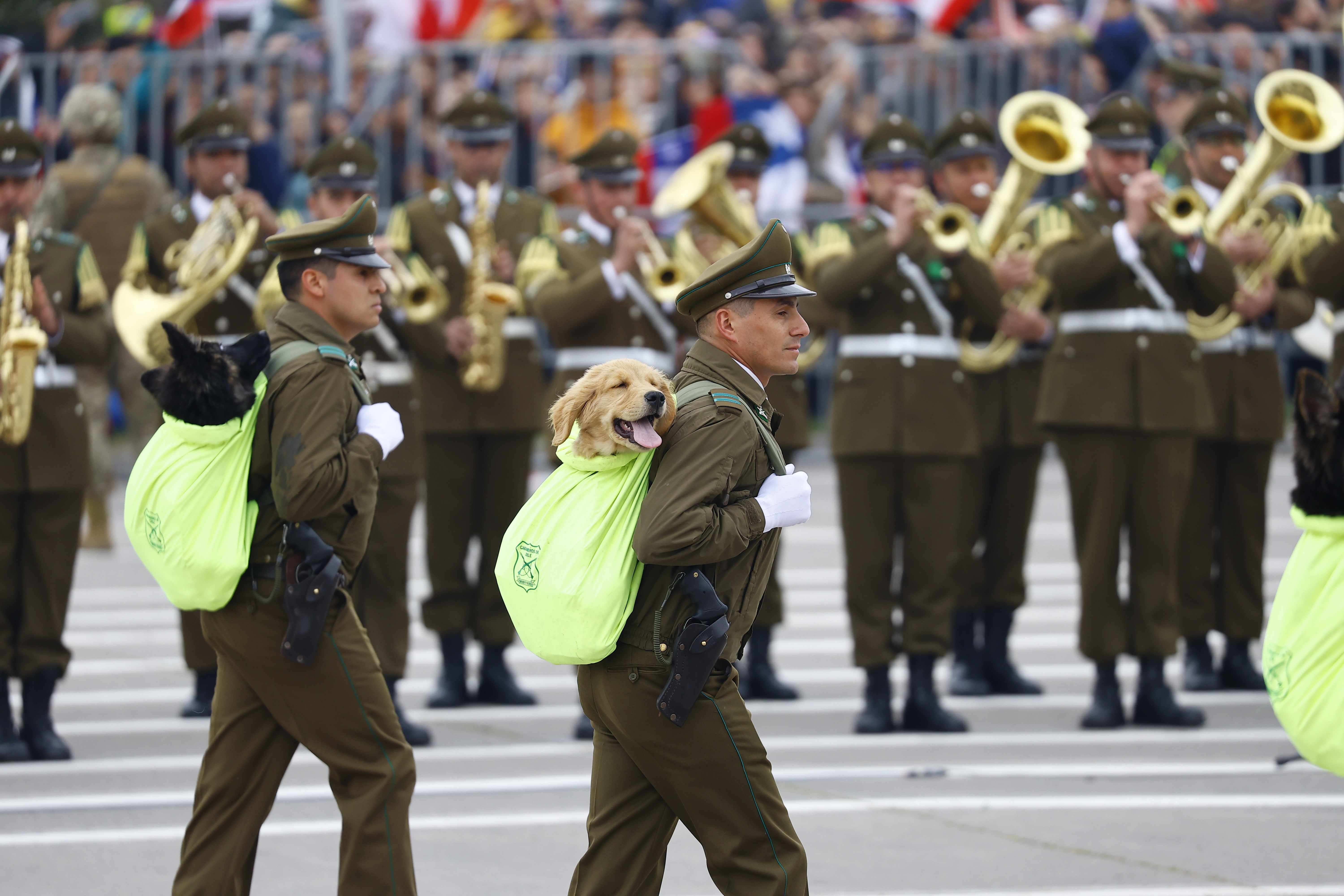 Parada Militar