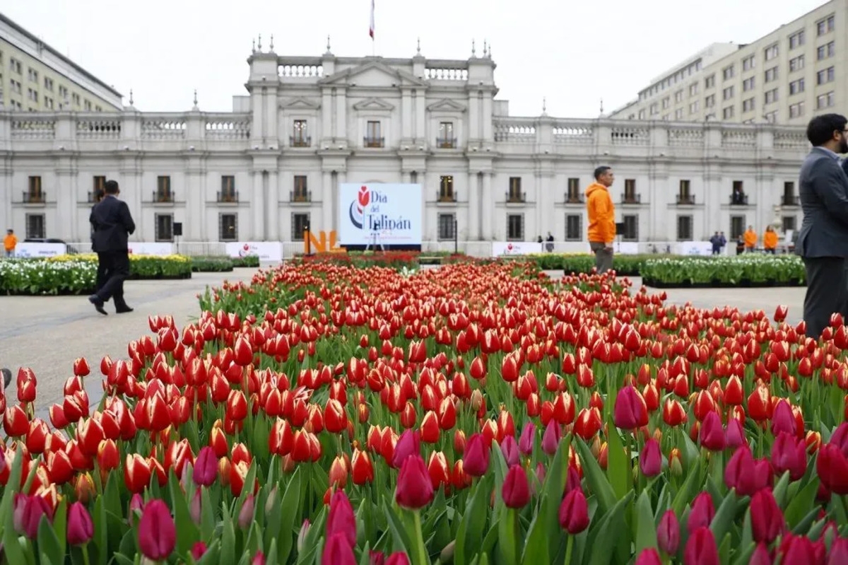 Día del Tulipán