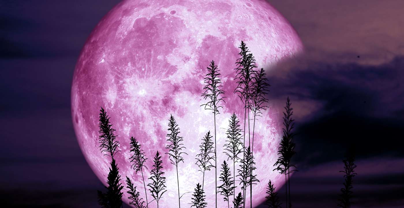 Horóscopo Lunar: Sábado 11 de enero de 2025 Horóscopo Lunar: Sábado 11 de enero de 2025