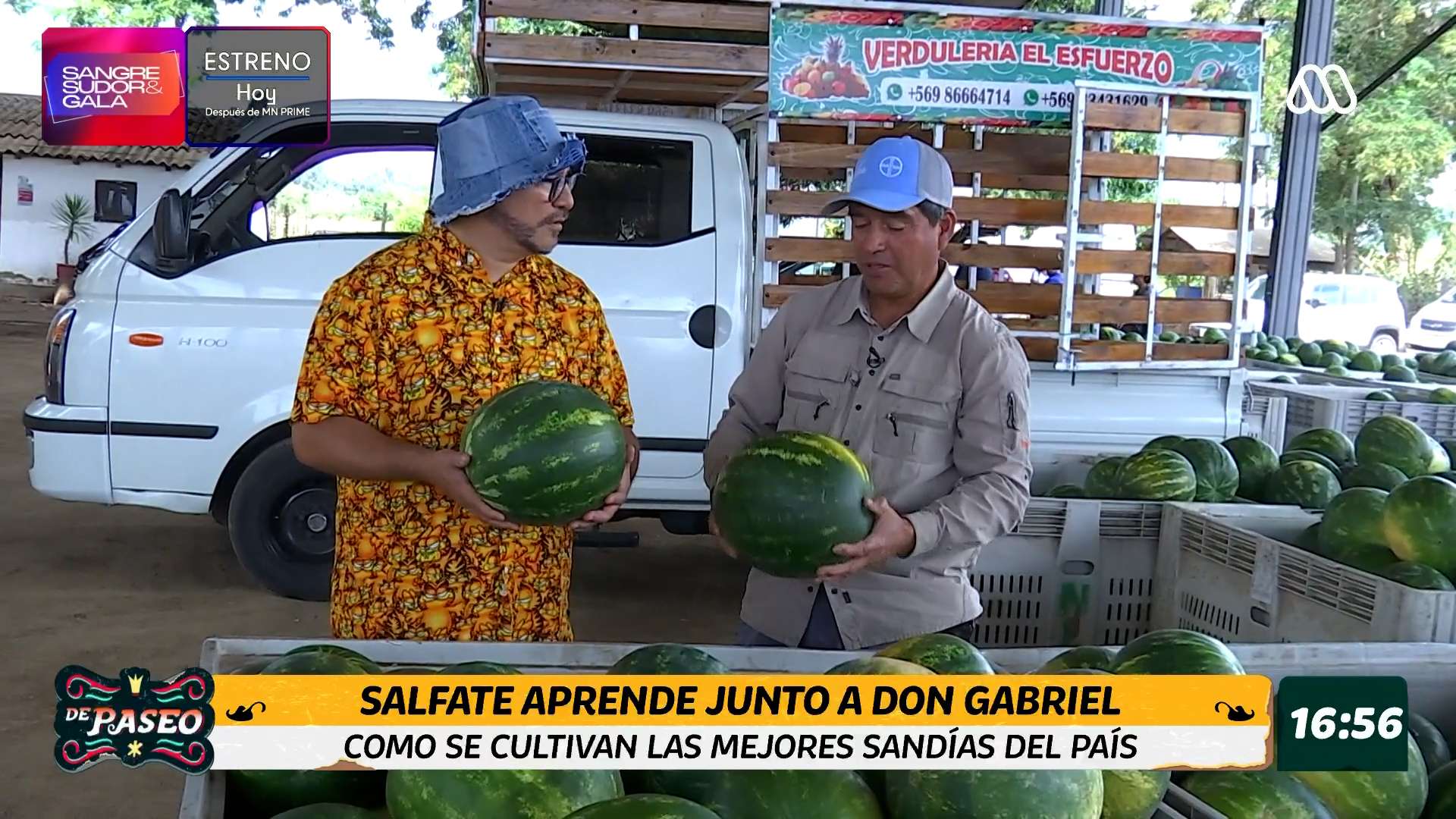 Salfate visita al rey de la sandía