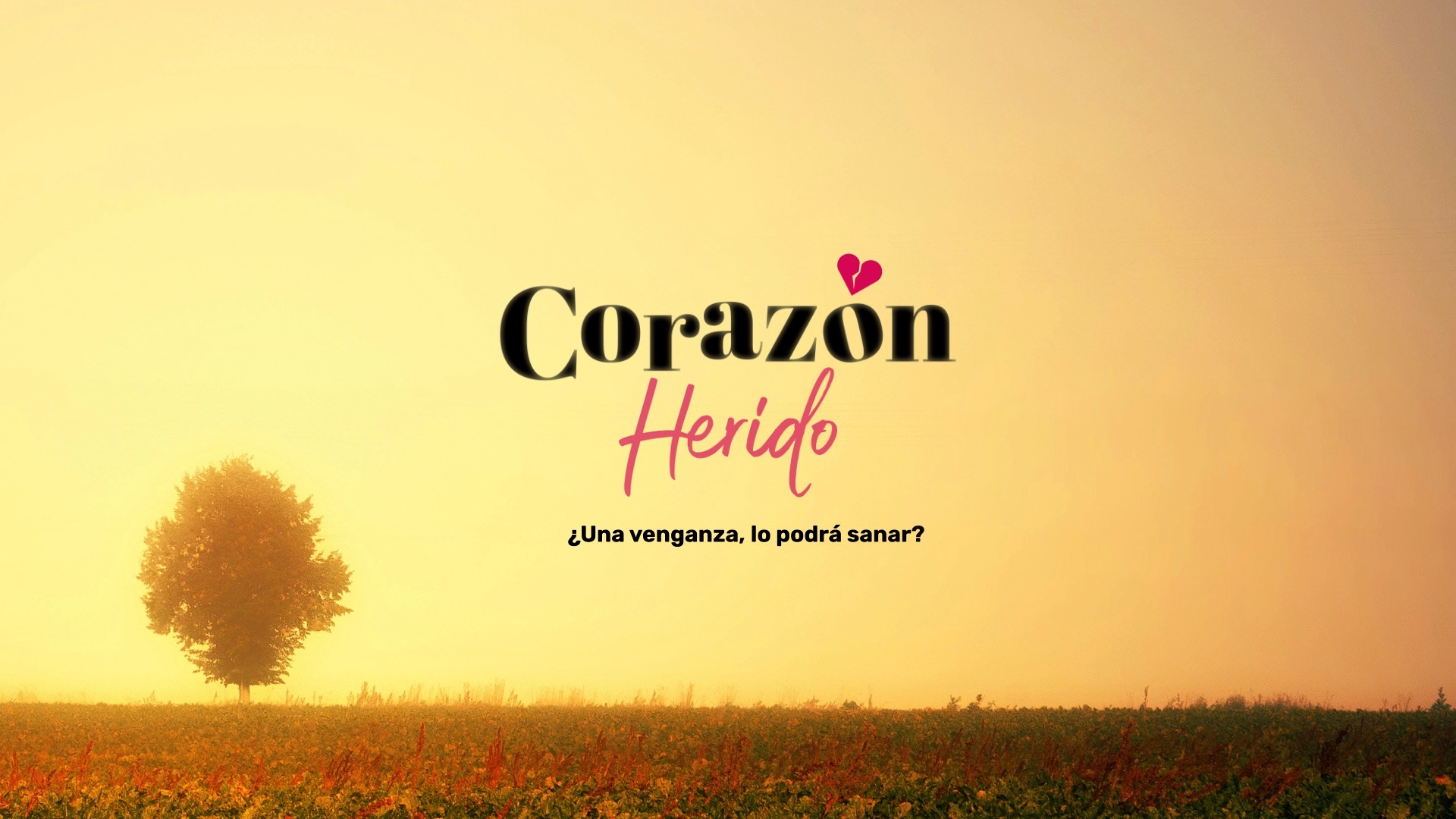 Corazón Herido