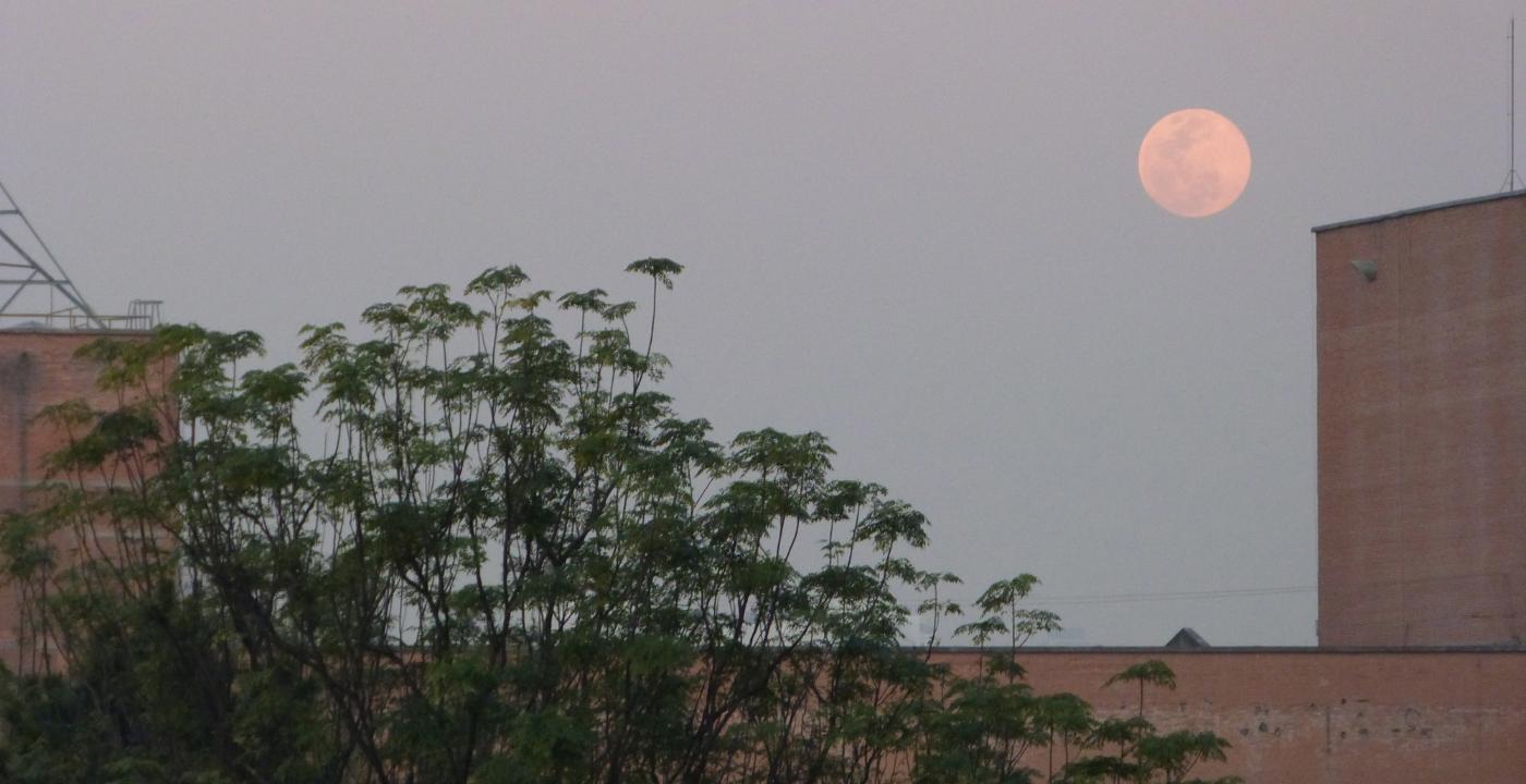 Horóscopo Lunar: Viernes 11 de abril de 2025