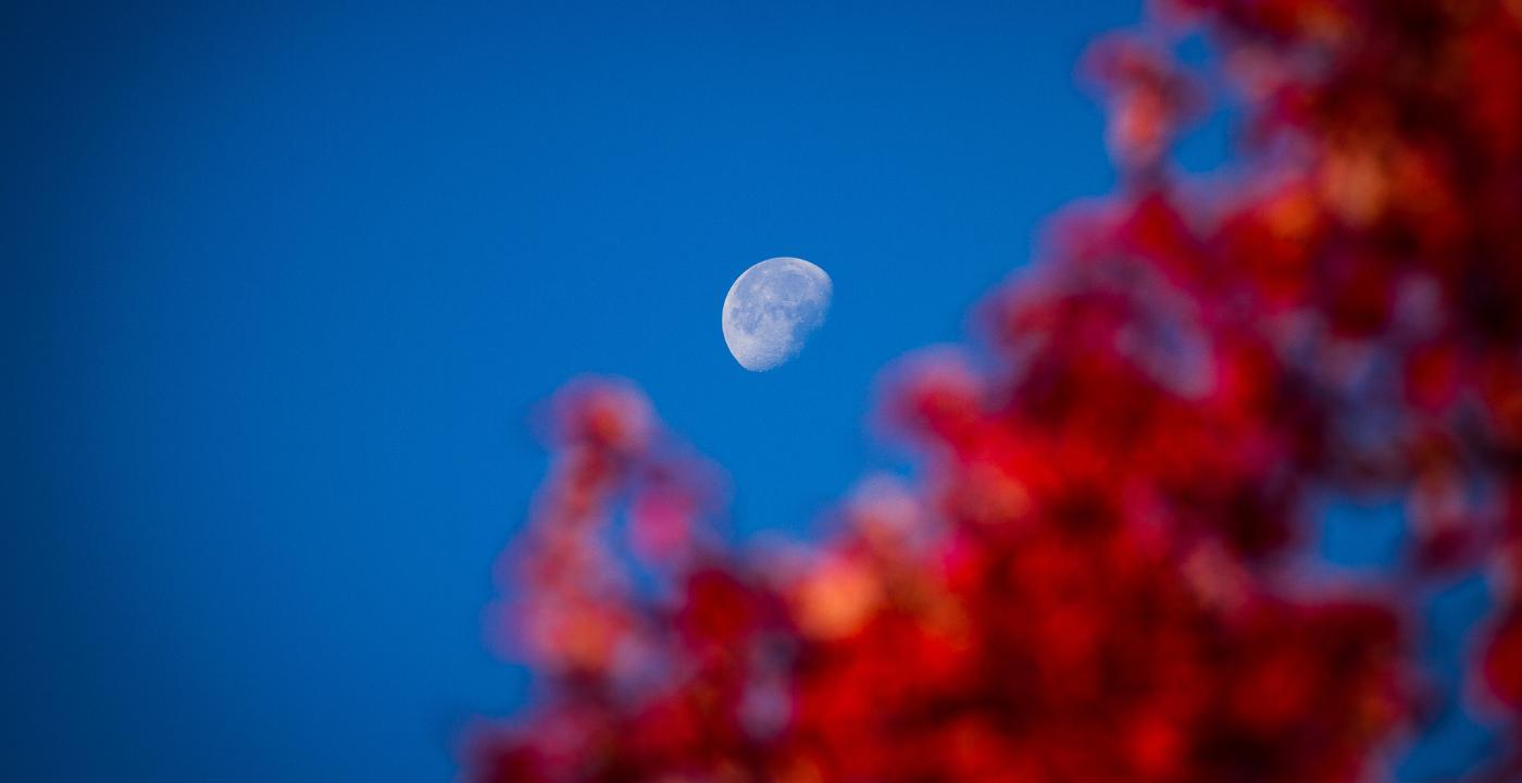 Horóscopo Lunar: Lunes 28 de abril de 2025 Horóscopo Lunar: Lunes 28 de abril de 2025