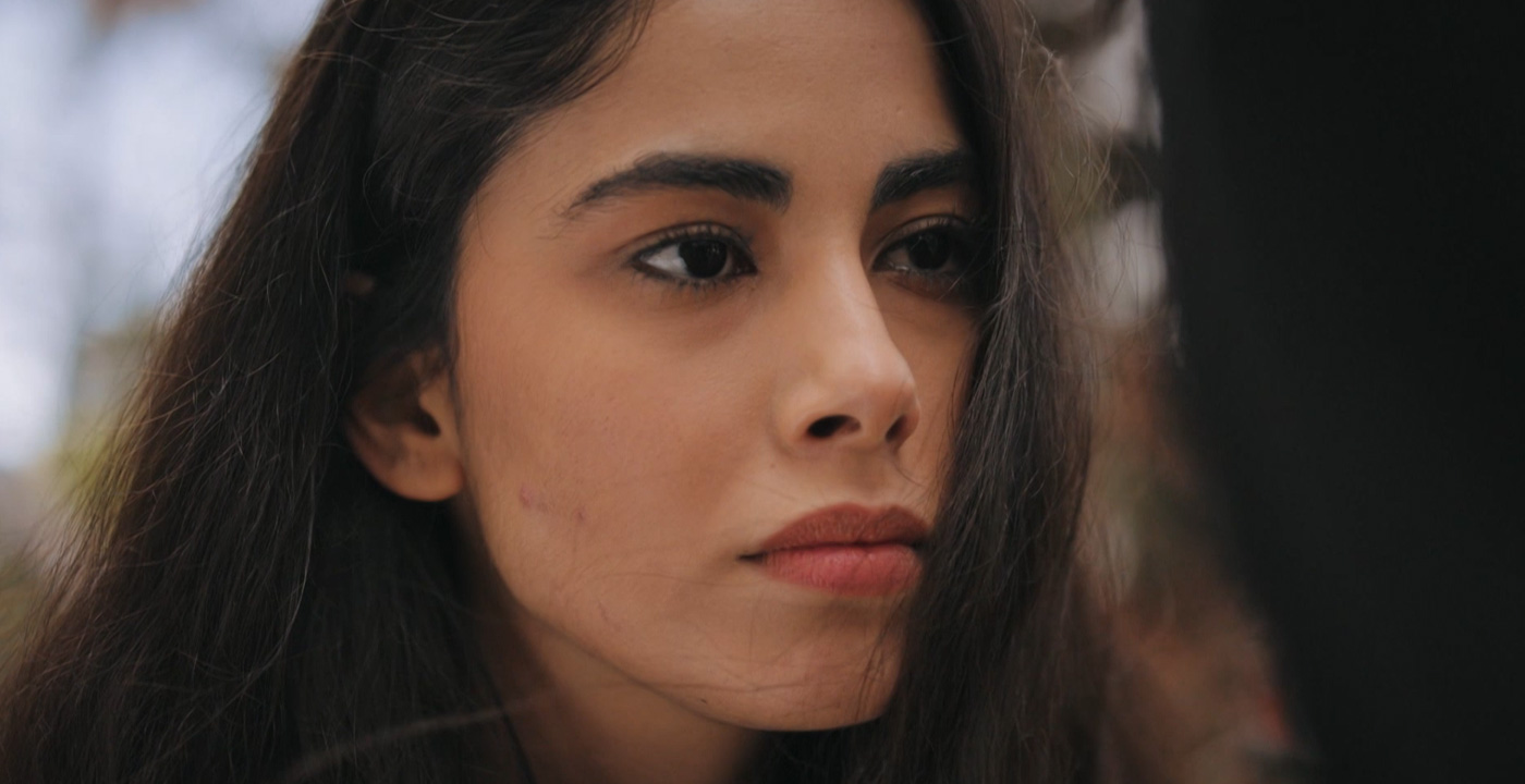 aysen-gulen-gedikoglu