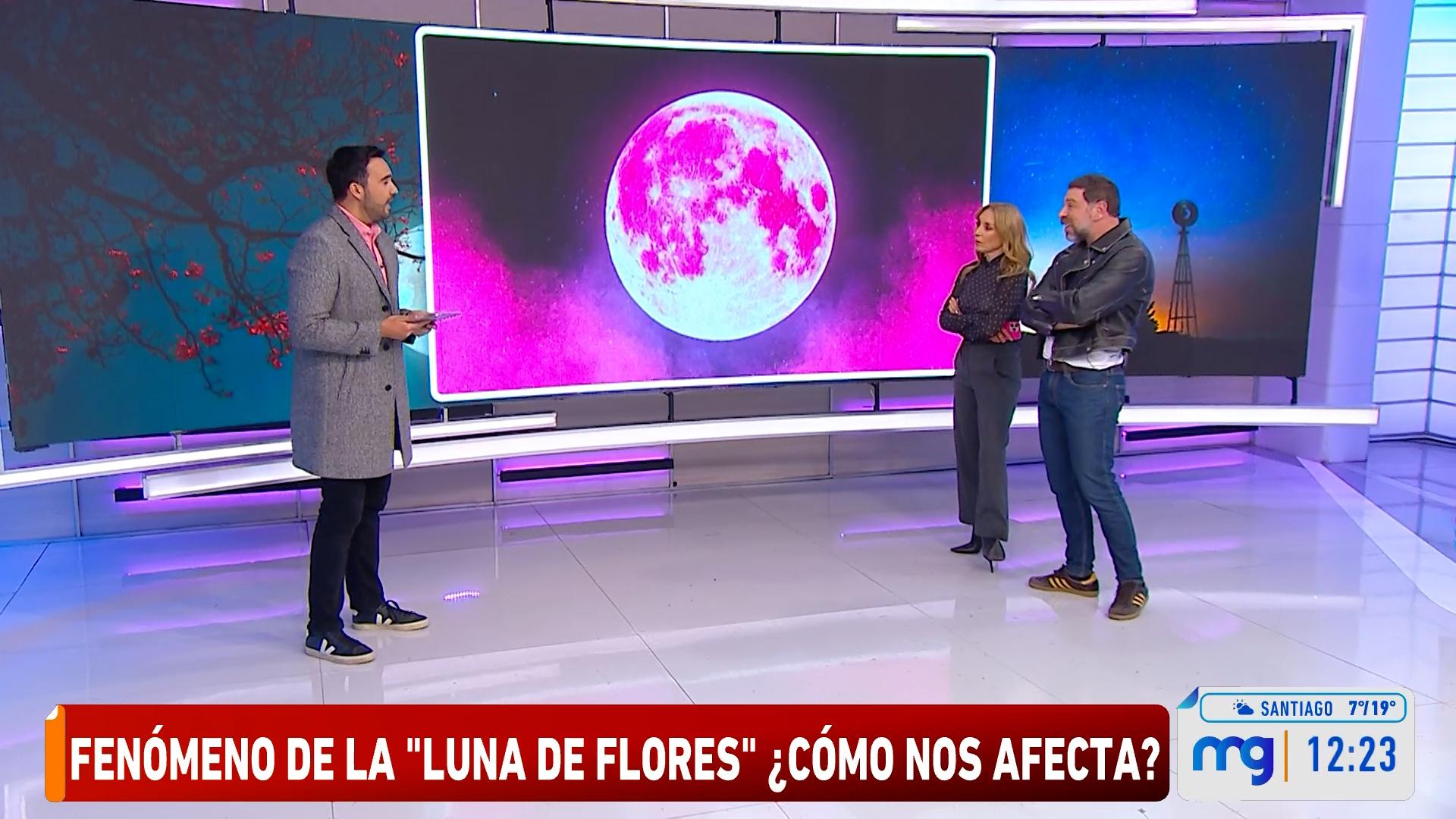 Luna de flores