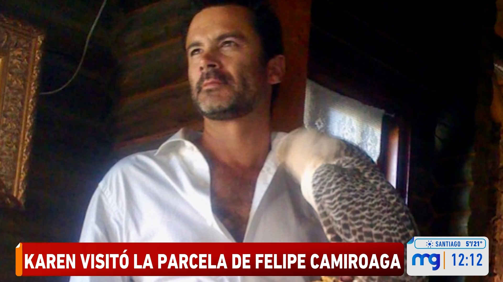 Halcón Felipe Camiroaga