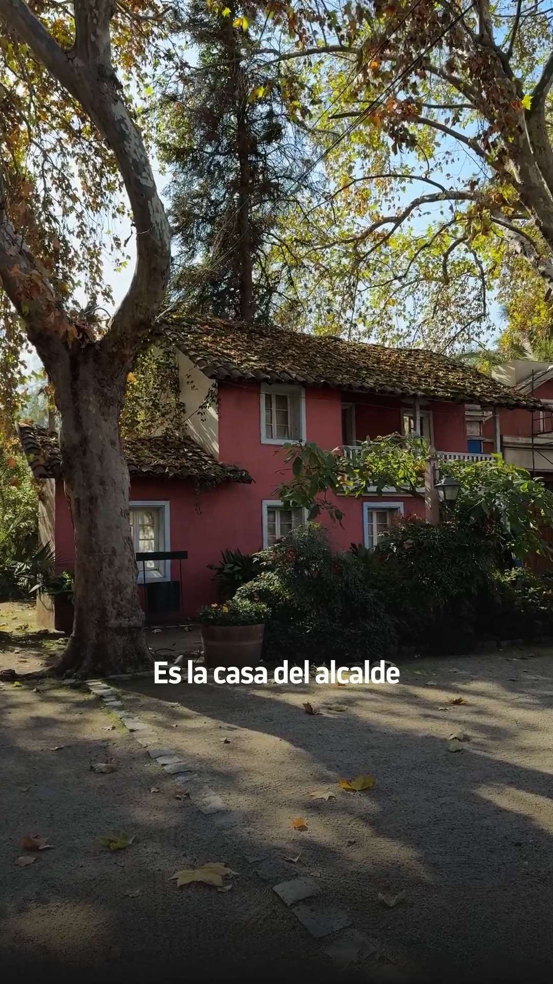 El Álamo en Aguas de Oro