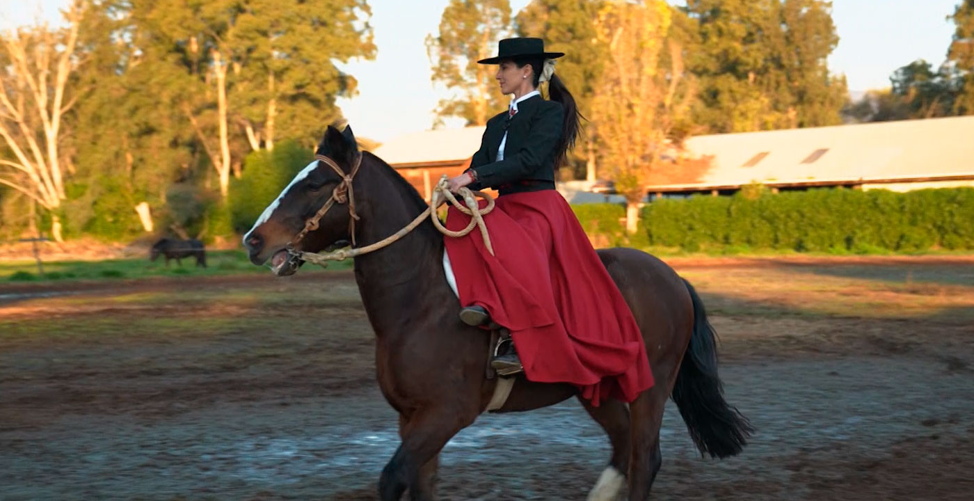Javiera Cáceres, jinete y veterinaria