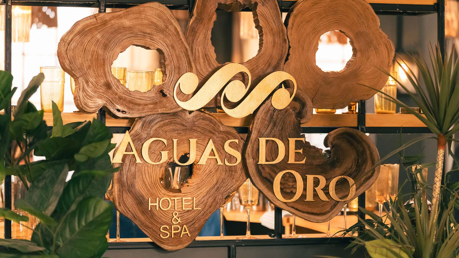 Hotel Aguas de Oro