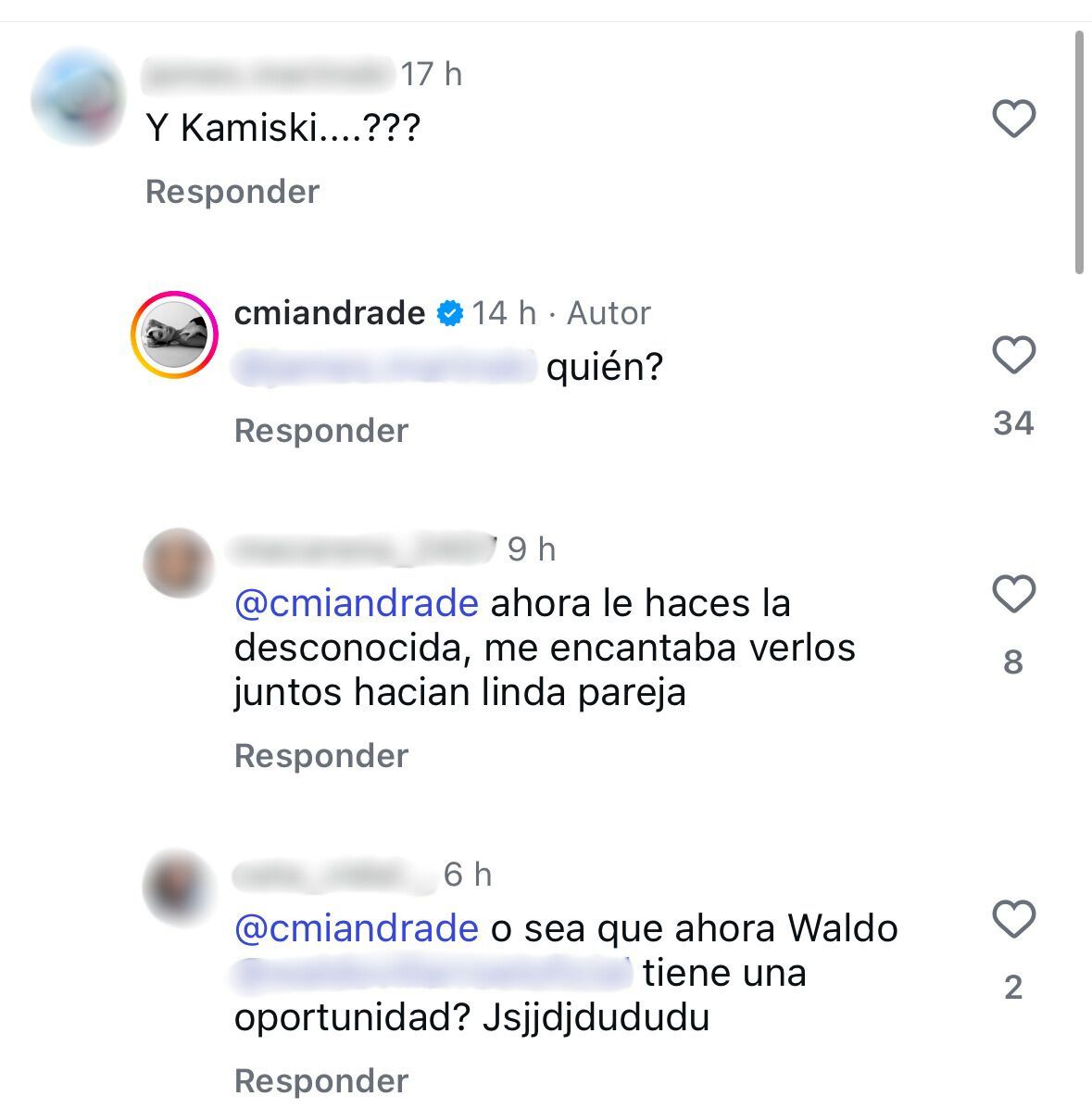 Comentario de Camila Andrade