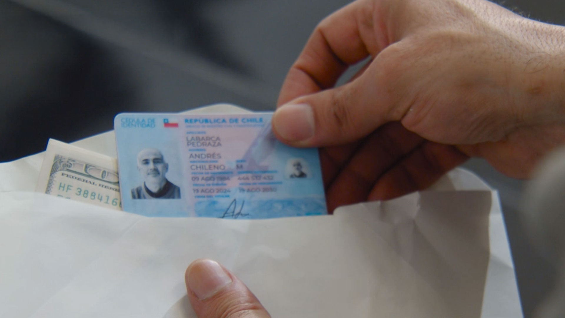 Carnet falso de Raúl