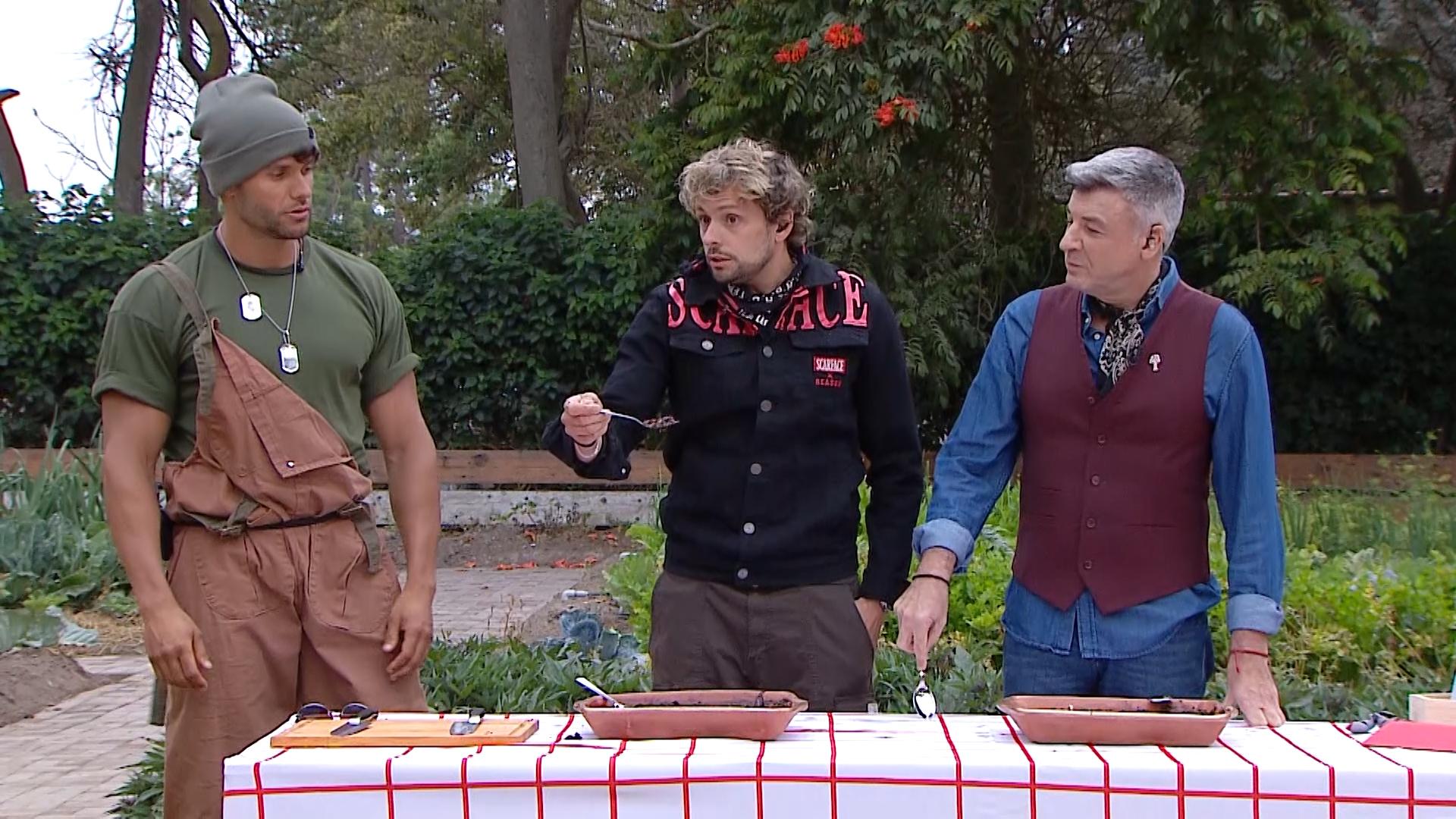 Desafío comida de campo