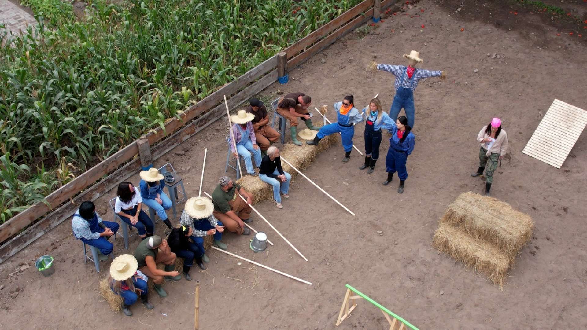 Prueba del espantapájaros