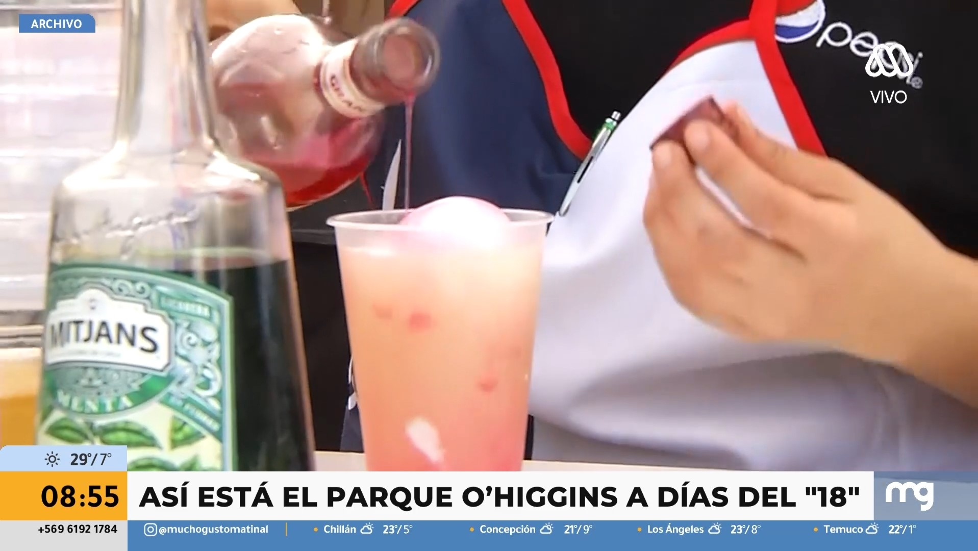Fondas del Parque O'Higgins