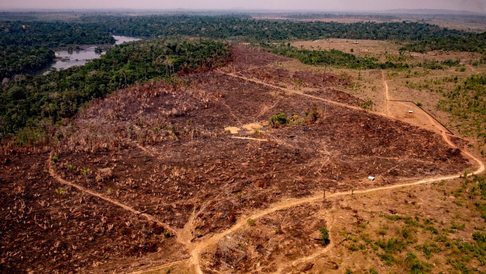 Deforestación Brasil Deforestación de la Amazonía brasileña aumenta un 85,3% en 2019