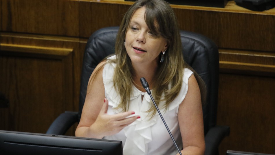 von baer UDI violencia constitucion Von Baer y constituyente: