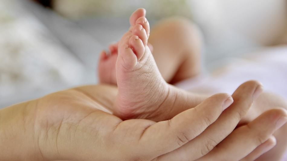 Asignación Maternal 2020: ¿Quiénes pueden solicitar este beneficio? Asignación Maternal