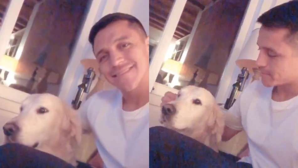 Alexis Sánchez Alexis Sánchez disfruta junto a sus mascotas.