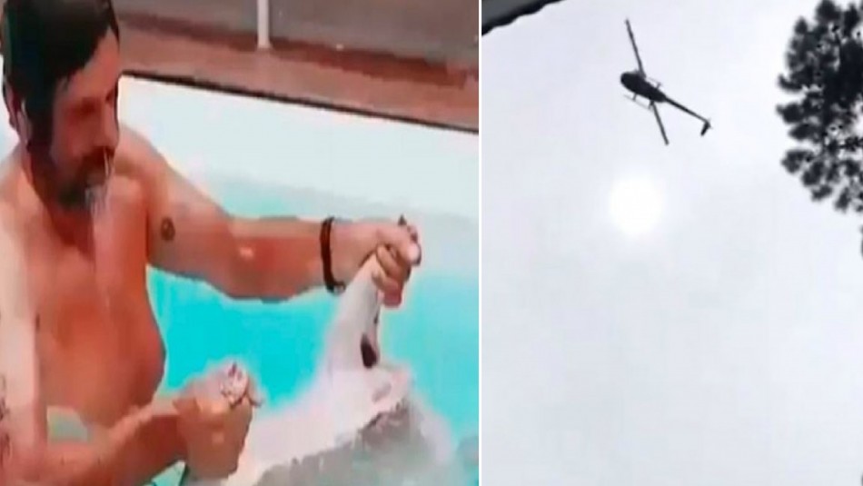 Filtran video de empresario argentino en la piscina con el cordero que lanzaron desde helicóptero Filtran video de empresario argentino en la piscina con el cordero que lanzaron desde helicóptero