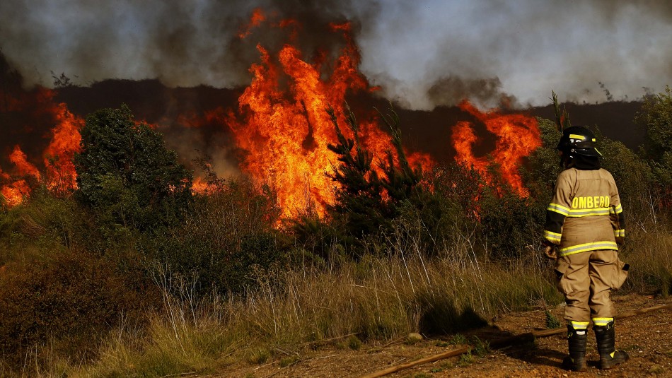 Imagen referencial Declaran Alerta Roja en Talca por incendio forestal cercano a sectores habitados