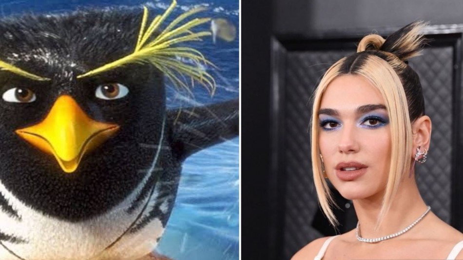 Ni Dua Lipa se salvó: Los memes que dejó los premios Grammy 2020
