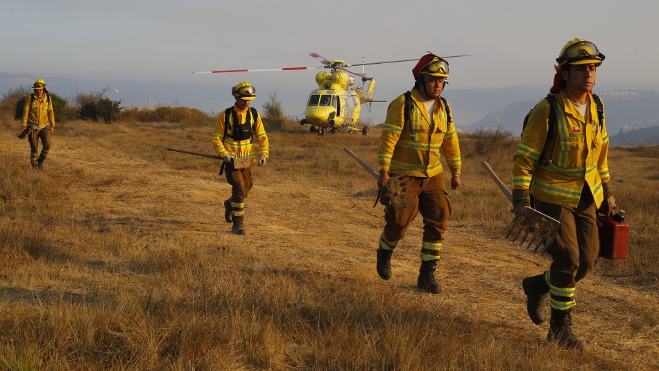 Incendios forestales en Chile: Onemi reporta que 8 siniestros continúan activos Incendios forestales en Chile: Onemi reporta que 8 siniestros continúan activos