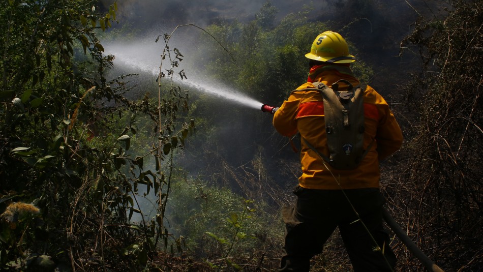 Incendio forestal Declaran Alerta Roja en comuna de Victoria por incendio forestal: Al menos dos casas han sufrido daños