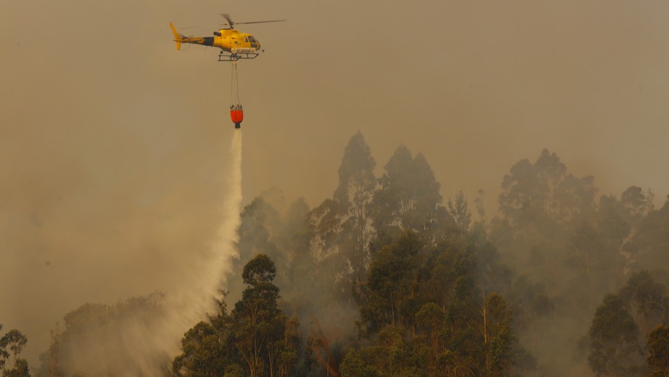 Declaran Alerta Roja por incendio forestal en la comuna de Mariquina Declaran Alerta Roja por incendio forestal en la comuna de Mariquina