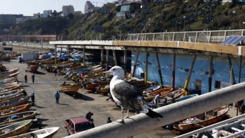 Valparaíso con jornada parcial: Revisa el pronóstico del tiempo Valparaíso con jornada parcial: Revisa el pronóstico del tiempo