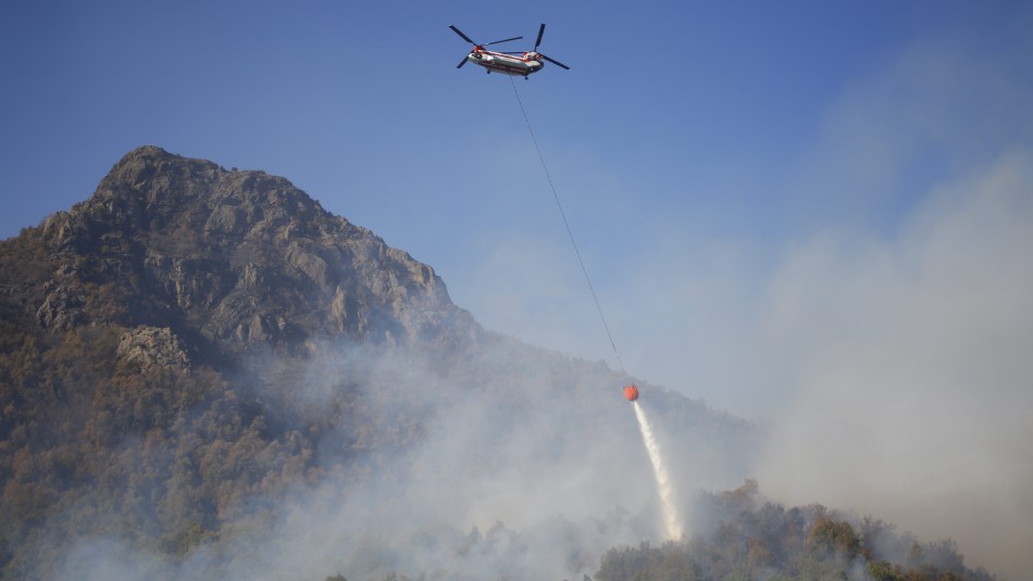 Imagen referencial Incendios forestales en el Maule: Autoridades piden intervención de avión Supertanker