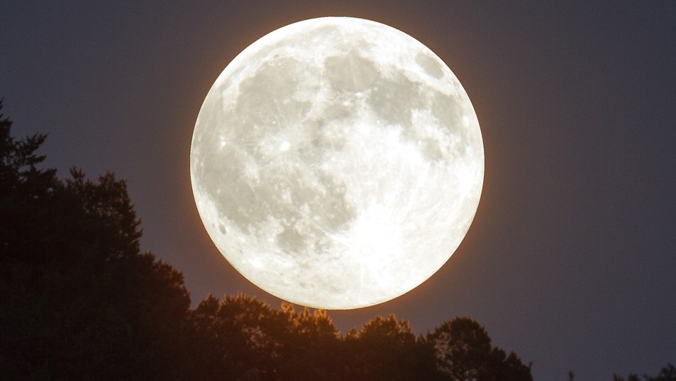 Super Luna Super Luna de gusano: Revisa cuándo ocurrirá el fenómeno astronómico