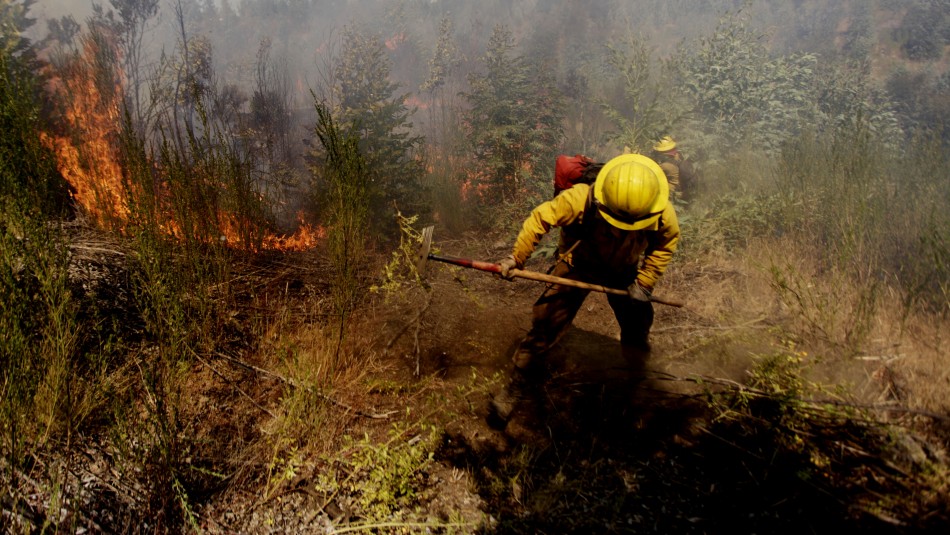 Declaran Alerta Roja en Quillón por incendio forestal cercano a viviendas Declaran Alerta Roja en Quillón por incendio forestal cercano a viviendas