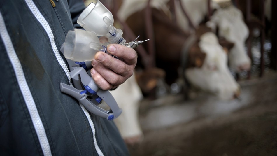 prueba animales vacuna coronavirus Rusia anuncia ensayo en animales de vacuna contra el coronavirus