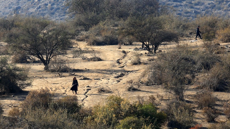 Encuentran a niño con autismo extraviado en bosque Panul de La Florida