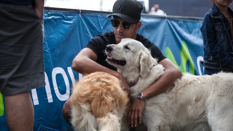 Coronavirus Alexis Sánchez tiene nuevas mascotas.