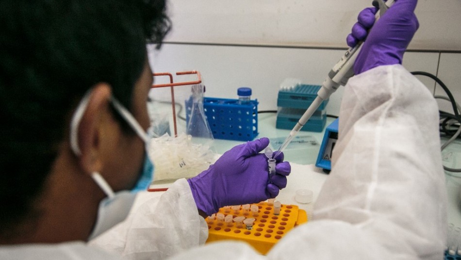 Centros de salud presentan problemas para procesar y realizar exámenes PCR de coronavirus Centros de salud presentan problemas para procesar y realizar exámenes PCR de coronavirus
