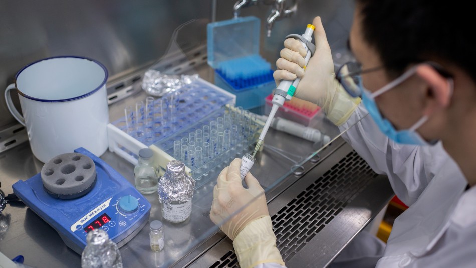 OMS suspende termporalmente ensayos clínicos de hidroxicloroquina Coronavirus: OMS suspende temporalmente ensayos clínicos de hidroxicloroquina por seguridad