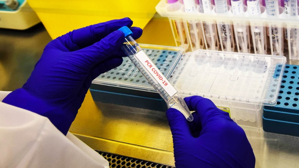 Coronavirus Temuco y Punta Arenas lideran comunas con más casos activos de coronavirus