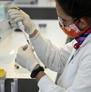 Estudio afirma que contraer coronavirus crea inmunidad durante al menos seis meses Estudio afirma que contraer coronavirus crea inmunidad durante al menos seis meses