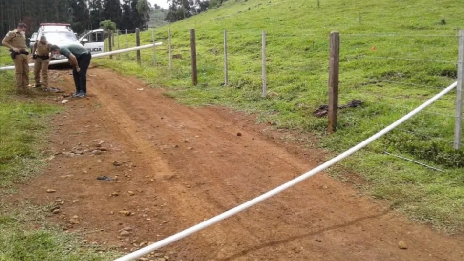 Hombre muere tras sufrir graves heridas en su rostro luego de ataque de manada de perros pitbull Fatal ataque de perros a hombre en Brasil.