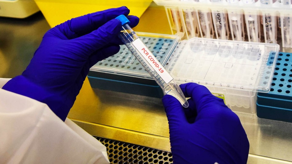Coronavirus Positividad llega a 11% las últimas 24 horas en Chile: Destaca región de Los Ríos y La Araucanía
