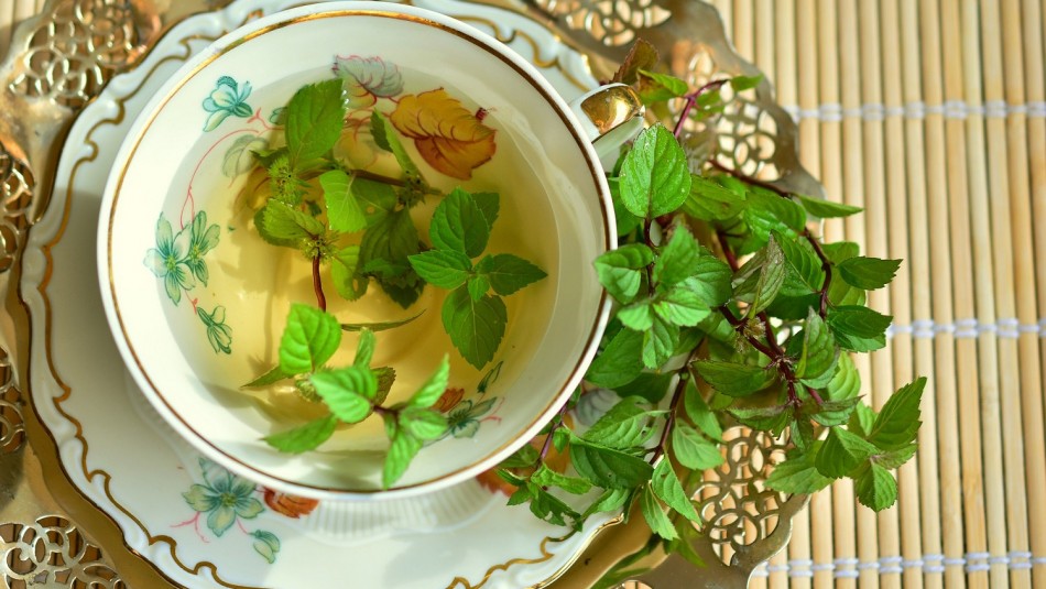 Antioxidante y ayuda a bajar de peso: Conoce todos los beneficios del té verde Antioxidante y ayuda a bajar de peso: Conoce todos los beneficios del té verde