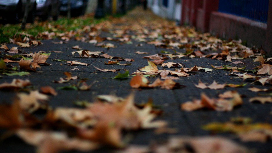 otoño 2021 chile Se acaba el verano: revisa cuándo empieza el otoño 2021 en Chile