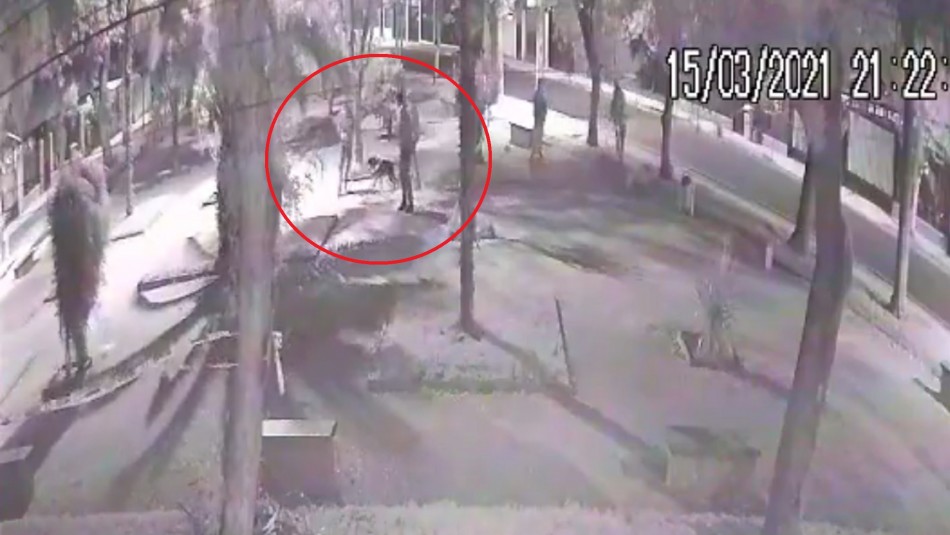 Hombre saca a pasear a su mascota y termina apuñalado por delincuentes en Maipú Hombre saca a pasear a su mascota y termina apuñalado por delincuentes en Maipú