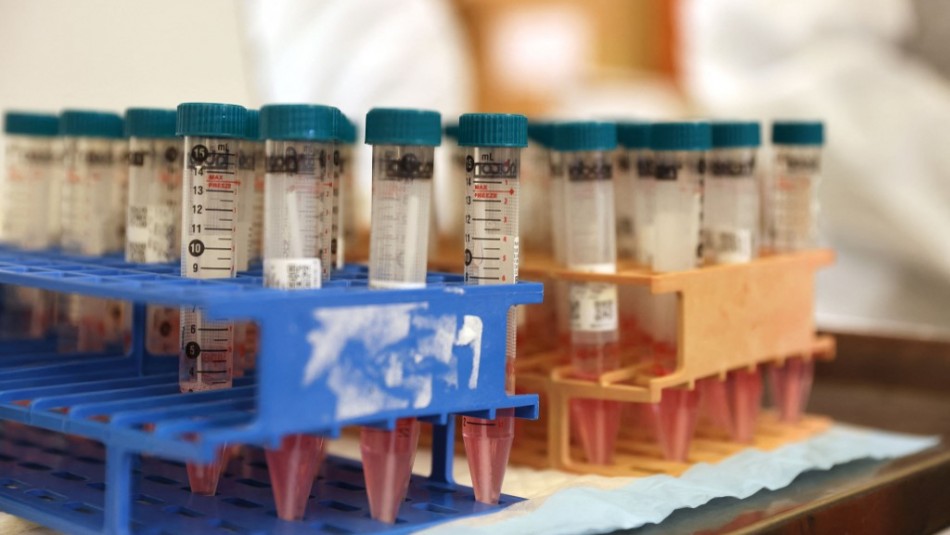 Imagen referencial de archivo Detectan en Francia una nueva variante de coronavirus: Es más difícil de detectar
