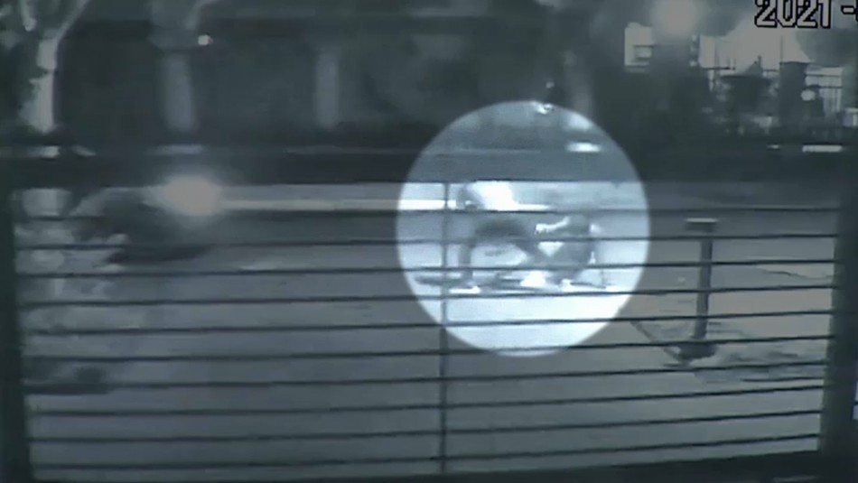 Video muestra violento Video muestra violento